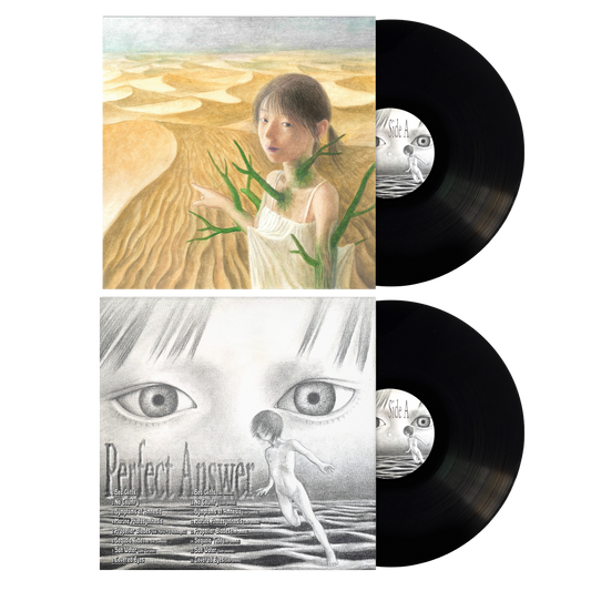 Evanora:Unlimited - Perfect Answer (12" Black Vinyl) [PRE-ORDER]